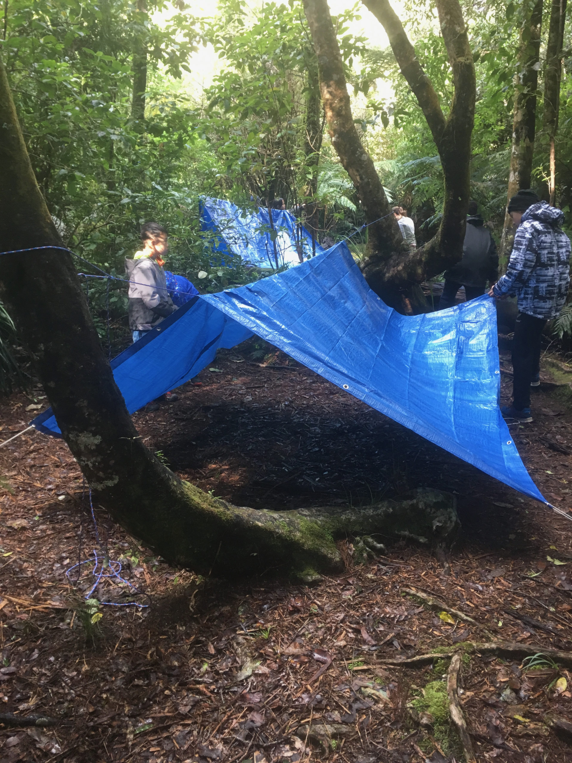 Basic Tarp Shelter 4